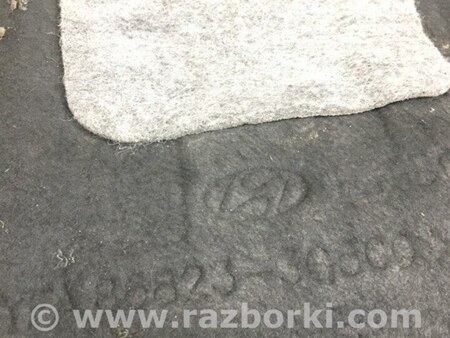 ФОТО Подкрылок для Hyundai Sonata YF (09.2009-03.2014) Киев