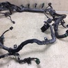 ФОТО Проводка моторного отсека для Acura TLX (09.2014-04.2020) Киев