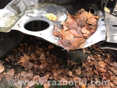 ФОТО Чверть автомобіля передня права для Lexus RX350 Киев