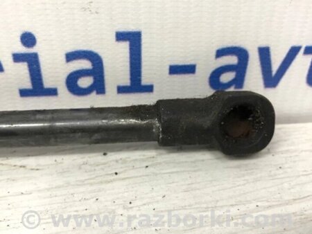 ФОТО Амортизатор капота для Toyota RAV-4 (05-12) Киев