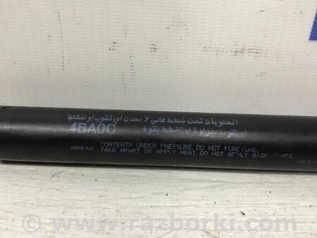 ФОТО Амортизатор капота для Toyota RAV-4 (05-12) Киев