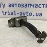 ФОТО Обмежувач дверей задній лівий для Toyota RAV-4 (05-12) Киев