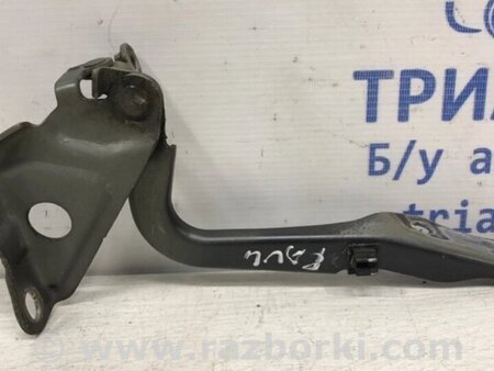 ФОТО Петля капота права для Toyota RAV-4 (05-12) Киев