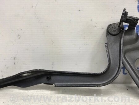 ФОТО Петля капота права для Toyota RAV-4 (05-12) Киев