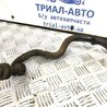 ФОТО Стабілізатор задній  для Toyota RAV-4 (05-12) Киев