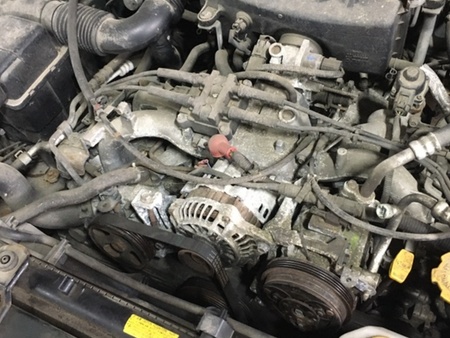 ФОТО Двигатель для Subaru Legacy (все модели) Днепр