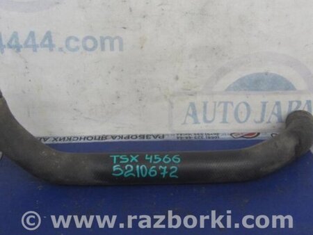 ФОТО Патрубок радиатора для Acura TSX CU2 (03.2008-05.2014) Киев