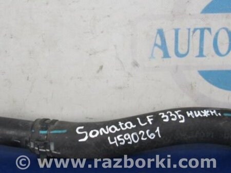 ФОТО Патрубок радиатора для Hyundai Sonata LF (04.2014-...) Киев