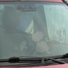ФОТО Стекло лобовое для Renault Kangoo Одесса