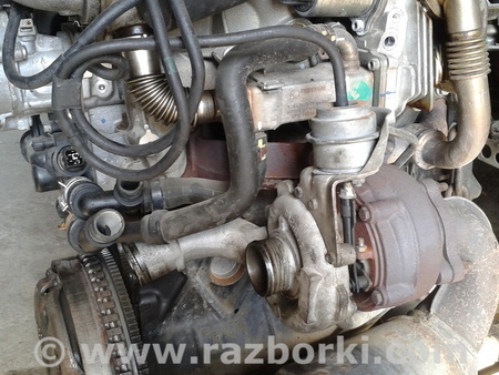 ФОТО Двигатель дизель 1.9 для Renault Kangoo Одесса