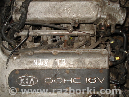 Двигатель для KIA Carens (все модели) Киев