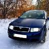 Все на запчасти Skoda Fabia