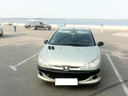 Все на запчасти для Peugeot 206 Киев