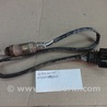 Лямбда зонд для Audi (Ауди) A3 (все модели 8L, 8P, 8V) Львов 021906265AP, 0258003696/697