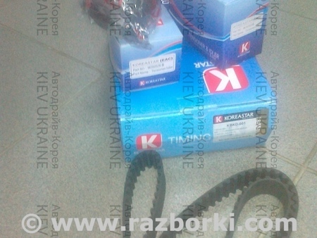 Натяжитель цепи привода ГРМ для Daewoo Nexia Киев  96350550+96350526  GT K015419XS 