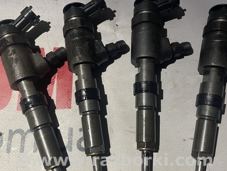 Форсунки для Peugeot 206 Львов 00445110075, 9641796180