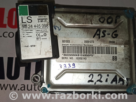 Блок управления двигателем для Opel Astra G (1998-2004) Львов 09391273 DNSM, 12202143