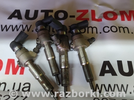 Форсунка топливная для Ford Fiesta Mk6 (2008-2017) Львов 9655304880