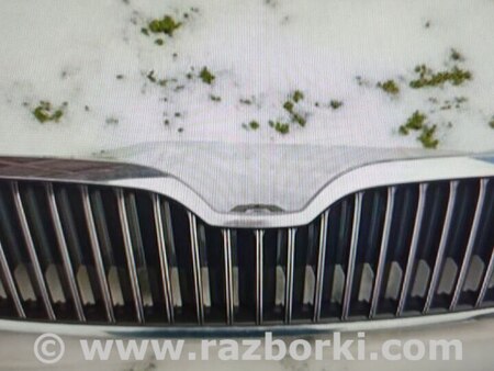 Решетка радиатора для Skoda Superb Харьков