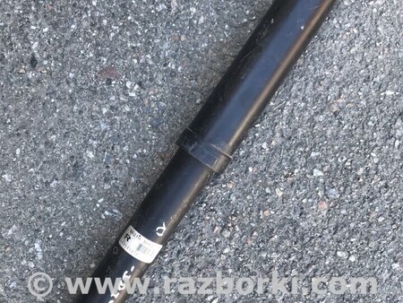 Амортизатор задний для Nissan Qashqai (07-14) Киев E6210JD02A