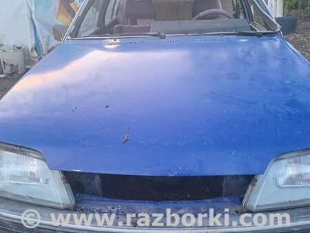 Капот для Opel Rekord E1/E2 (77-86) Горохів