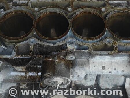 Блок цилиндров для Nissan Juke (10-19) Киев 11000ED01G