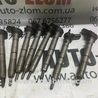 Форсунка топливная Audi (Ауди) A4 (все модели, все года выпуска)