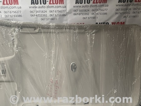 Потолок для Ford Fusion 1 поколение (02-12) Львов