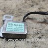 Усилитель антенны Honda Accord CU (12.2008 - 03.2013)
