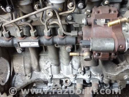 Двигатель дизель 1.4 для Ford Fiesta (все модели) Киев 1484408