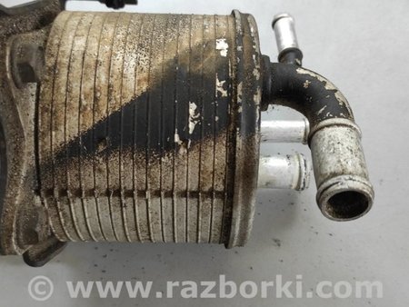 Радиатор охлаждения масла для Subaru Forester (2013-) Киев 31237AA000