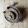 Цапфа задняя правая для Skoda Octavia A5 Киев 1K0505436P