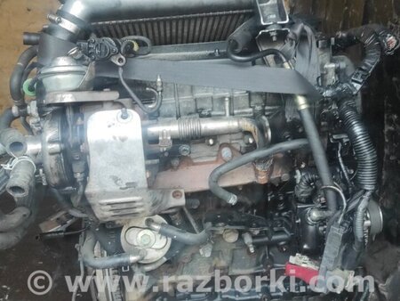 Двигатель дизель 2.0 для Toyota RAV-4 (00-05) Киев 1900027180