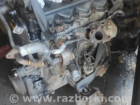 Двигатель дизель 2.5 для Nissan Navara Киев 10102EC00A