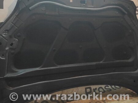 Капот для KIA Sportage KM (2004-2010) Киев 664000Z000