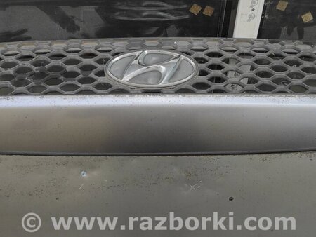 Капот (с решеткой радиатора) для Hyundai Santa Fe Киев 6640026072