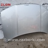 Капот для Skoda Fabia Львов
