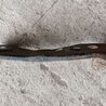 Кронштейн балки для Honda Accord CL (10.2002 - 11.2008) Киев 50265-SEA-E00