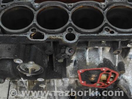 Блок цилиндров для Volkswagen Caddy 3 (2003-2020) Киев 06A103101AF