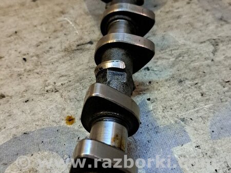 Распредвал впускной для Toyota RAV-4 (00-05) Киев 1350128040