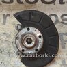 Цапфа передняя левая для Skoda Octavia A5 Киев 1K0407255AA
