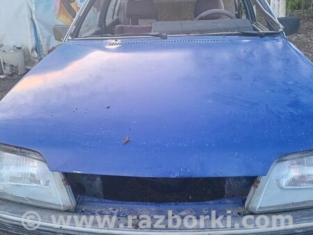 по запчастям для Opel Rekord E1/E2 (77-86) Горохів