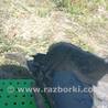 Пластик под лобовое стекло для Hyundai Santa Fe DM (12-18) Киев 861514Z000