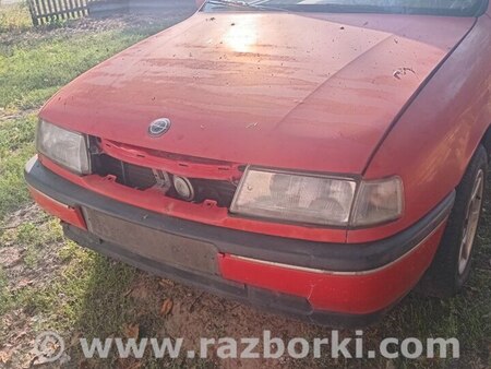 Капот для Opel Vectra A (1988-1995) Горохів