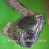 Подкрылок передний правый для Honda Pilot 2 MR-V YF3/4 (2008-2015) Киев 74101SZAA00 