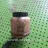 Бачок гидроусилителя для Nissan X-Trail T30 (2001-2008) Киев 491804M403